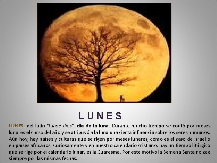 LUNES: del latín "lunae dies", día de la luna. Durante mucho tiempo se contó