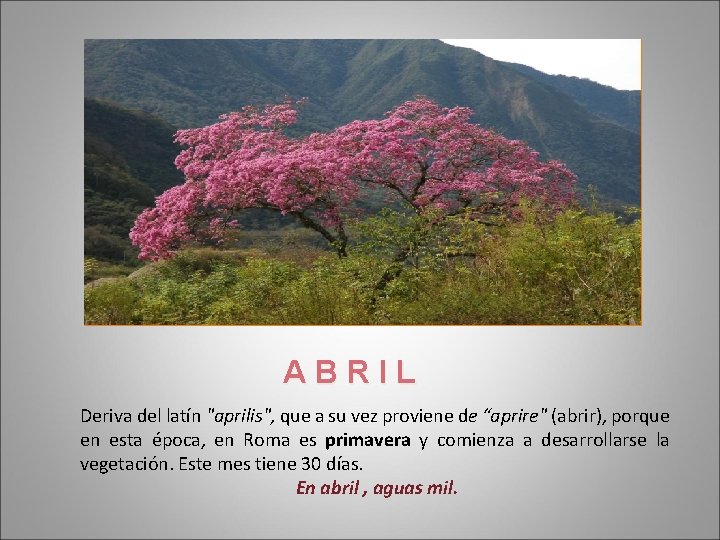 ABRIL Deriva del latín "aprilis", que a su vez proviene de “aprire" (abrir), porque