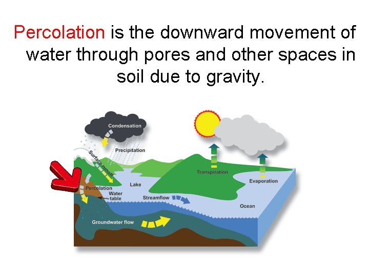 The Water Cycle Essential Question How does water