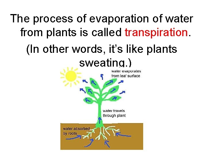 The Water Cycle Essential Question How does water