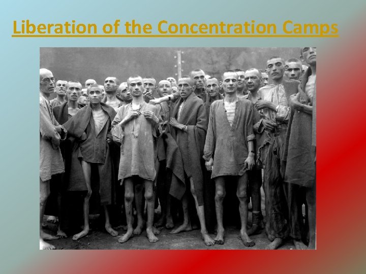 Liberation of the Concentration Camps 