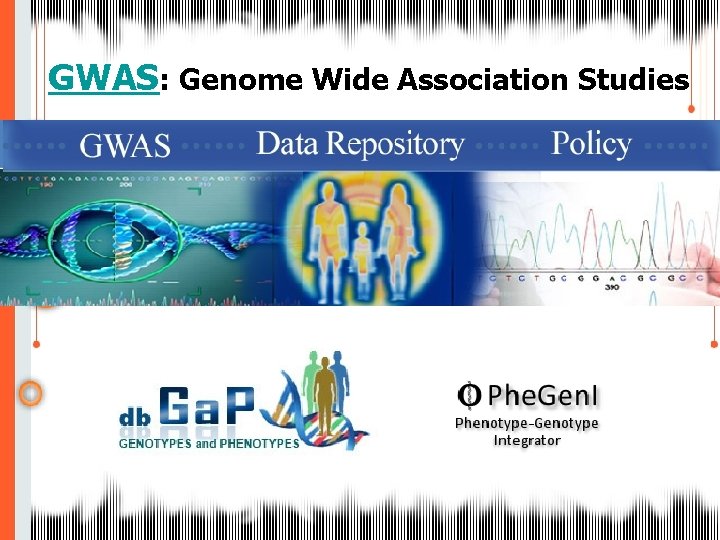 GWAS: Genome Wide Association Studies 