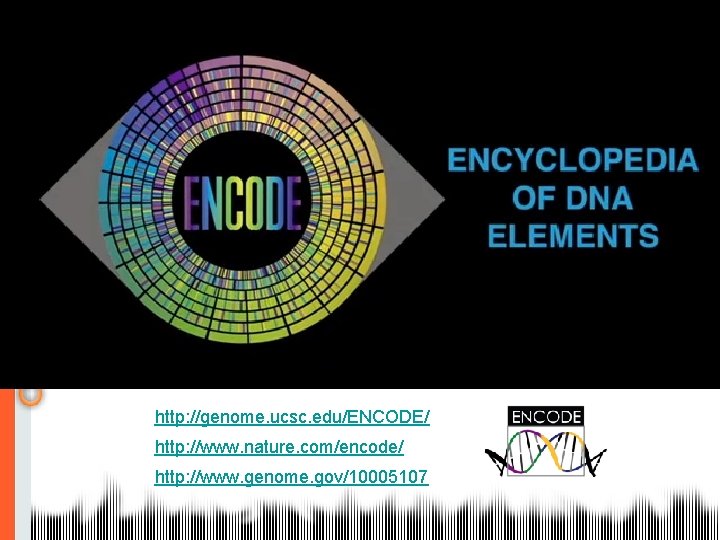 http: //genome. ucsc. edu/ENCODE/ http: //www. nature. com/encode/ http: //www. genome. gov/10005107 