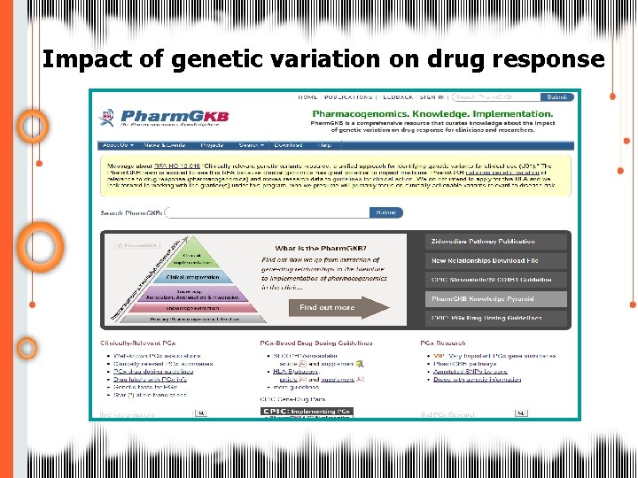 Impact of genetic variation on drug response 