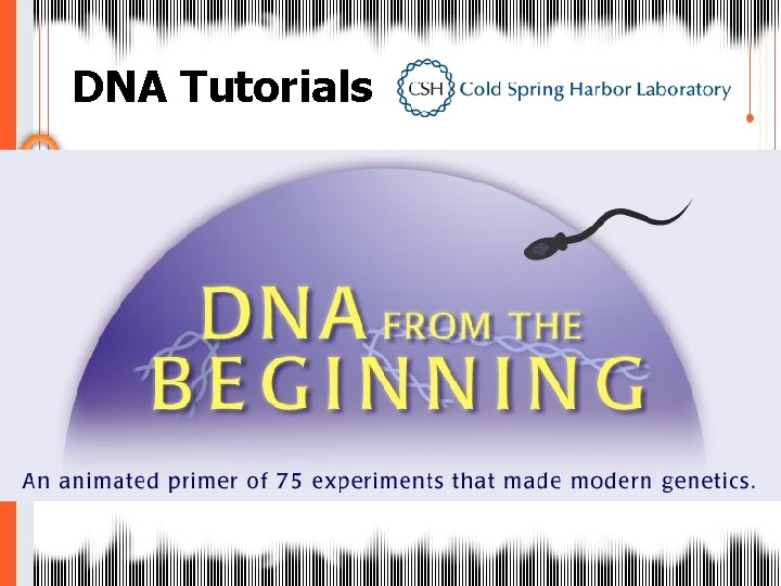 DNA Tutorials 