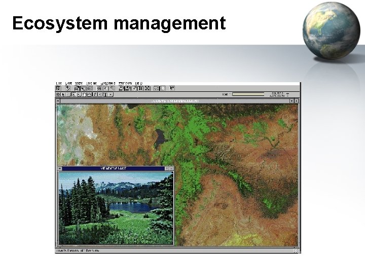 Ecosystem management 