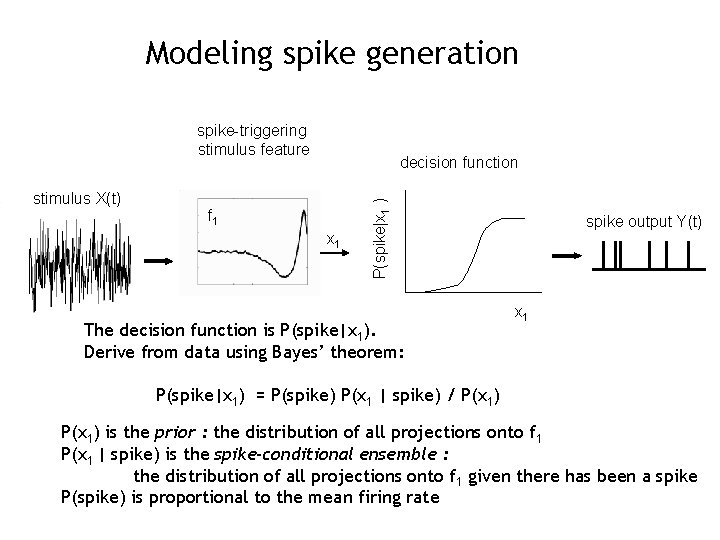 Modeling spike generation spike-triggering stimulus feature f 1 x 1 P(spike|x 1 ) stimulus