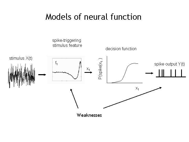 Models of neural function spike-triggering stimulus feature f 1 x 1 P(spike|x 1 )