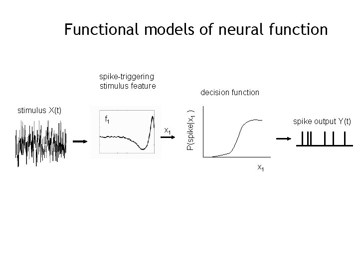 Functional models of neural function spike-triggering stimulus feature f 1 x 1 P(spike|x 1