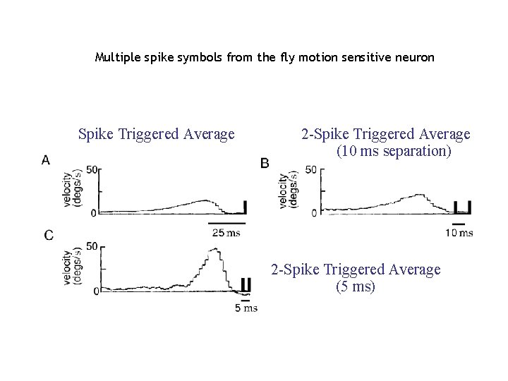 Multiple spike symbols from the fly motion sensitive neuron Spike Triggered Average 2 -Spike