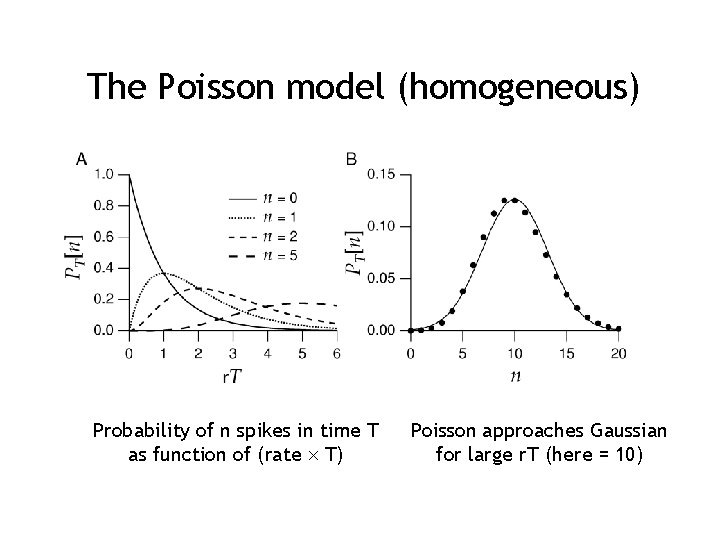 The Poisson model (homogeneous) Probability of n spikes in time T as function of