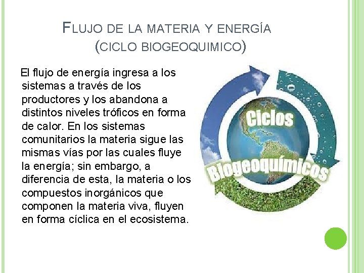 FLUJO DE LA MATERIA Y ENERGÍA (CICLO BIOGEOQUIMICO) El flujo de energía ingresa a