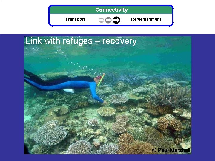 Connectivity Transport Replenishment Link with refuges – recovery © Paul Marshall 