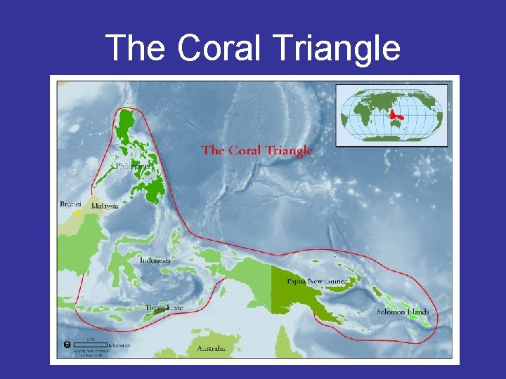 The Coral Triangle 