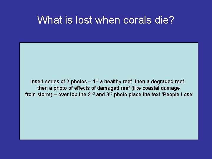 What is lost when corals die? Insert series of 3 photos – 1 st