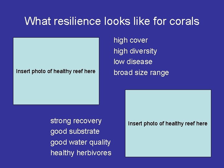 What resilience looks like for corals Insert photo of healthy reef here strong recovery