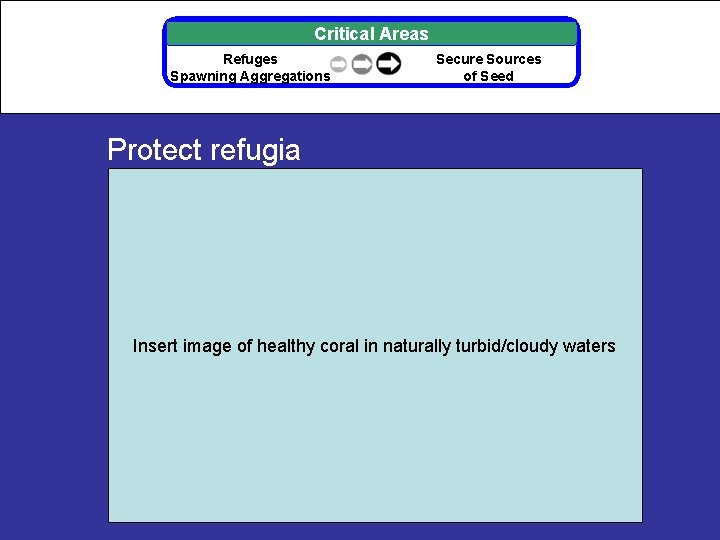 Critical Areas Refuges Spawning Aggregations Secure Sources of Seed Protect refugia Insert image of