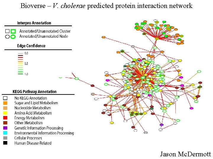 Bioverse – V. cholerae predicted protein interaction network Jason Mc. Dermott 