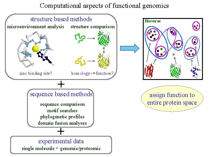 Computational aspects of functional genomics structure based methods microenvironment analysis Bioverse structure comparison *