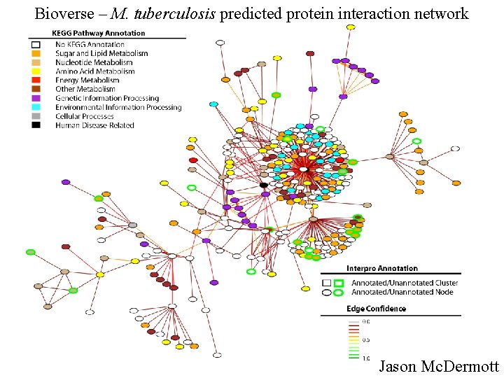 Bioverse – M. tuberculosis predicted protein interaction network Jason Mc. Dermott 