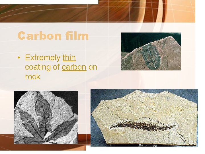 Carbon film • Extremely thin coating of carbon on rock 