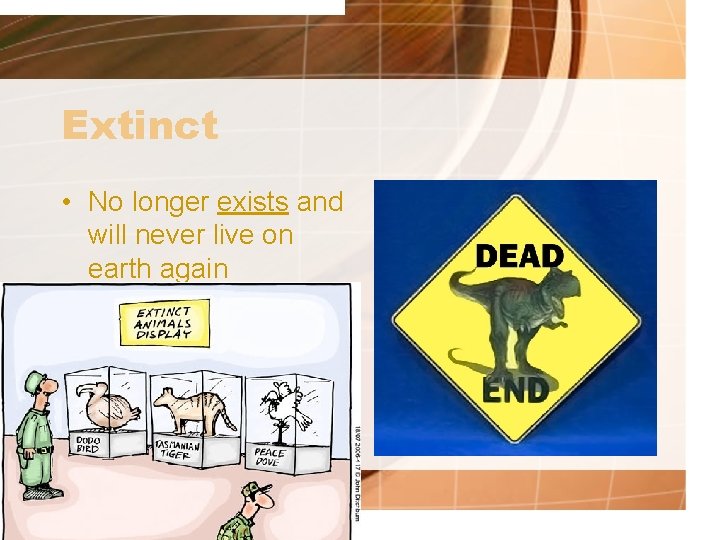 Extinct • No longer exists and will never live on earth again 