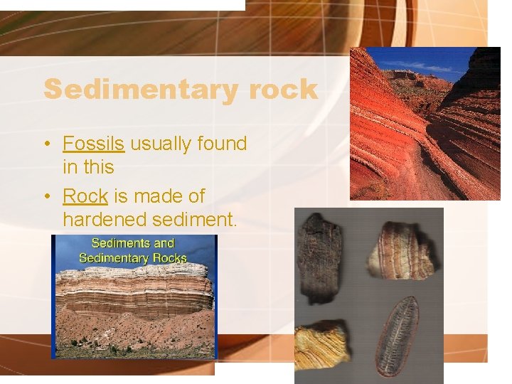 Sedimentary rock • Fossils usually found in this • Rock is made of hardened