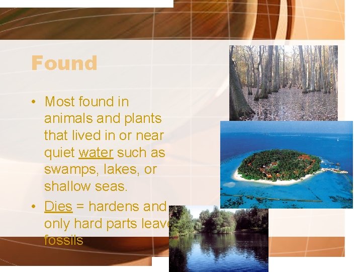 Found • Most found in animals and plants that lived in or near quiet