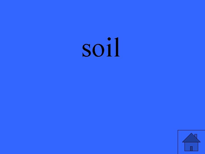 soil 