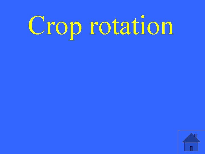 Crop rotation 