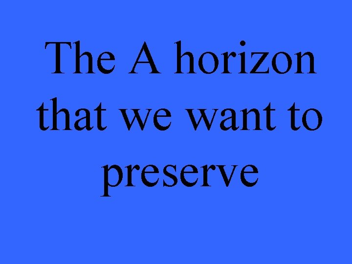 The A horizon that we want to preserve 