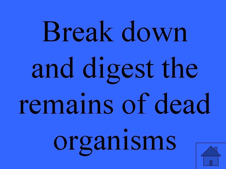 Break down and digest the remains of dead organisms 