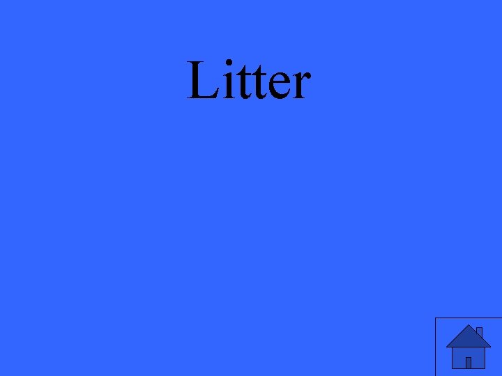 Litter 