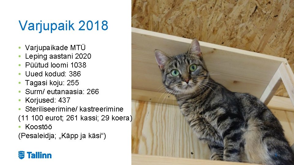 Varjupaik 2018 • Varjupaikade MTÜ • Leping aastani 2020 • Püütud loomi 1038 •