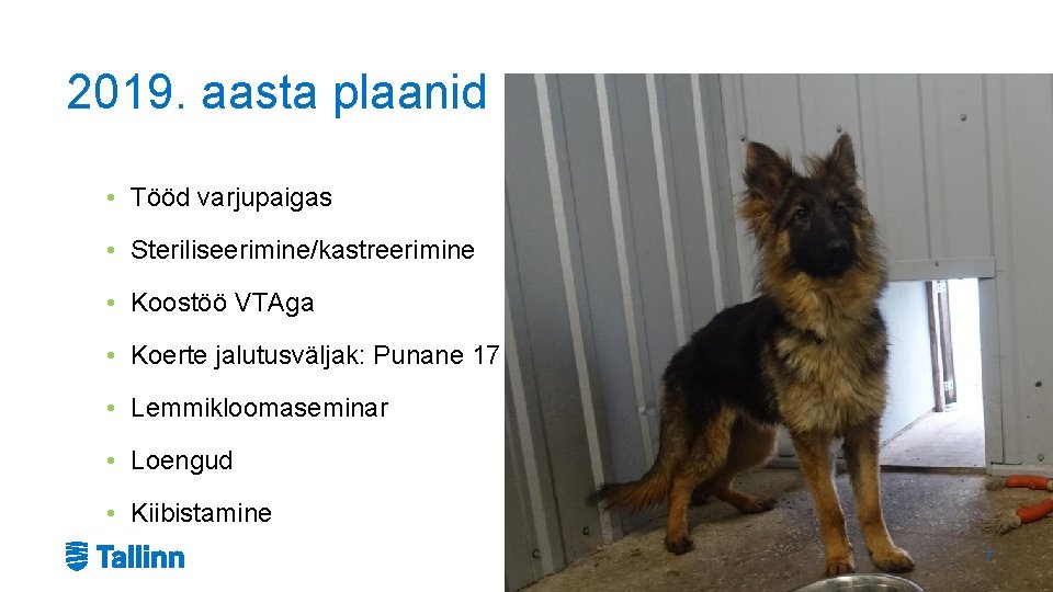 2019. aasta plaanid • Tööd varjupaigas • Steriliseerimine/kastreerimine • Koostöö VTAga • Koerte jalutusväljak: