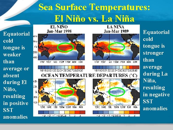 Sea Surface Temperatures: El Niño vs. La Niña Equatorial cold tongue is weaker than