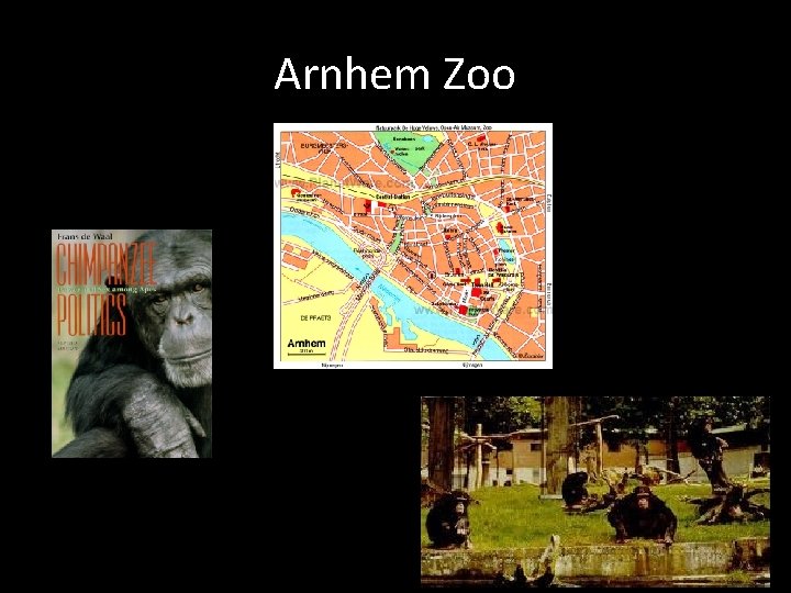 Arnhem Zoo 