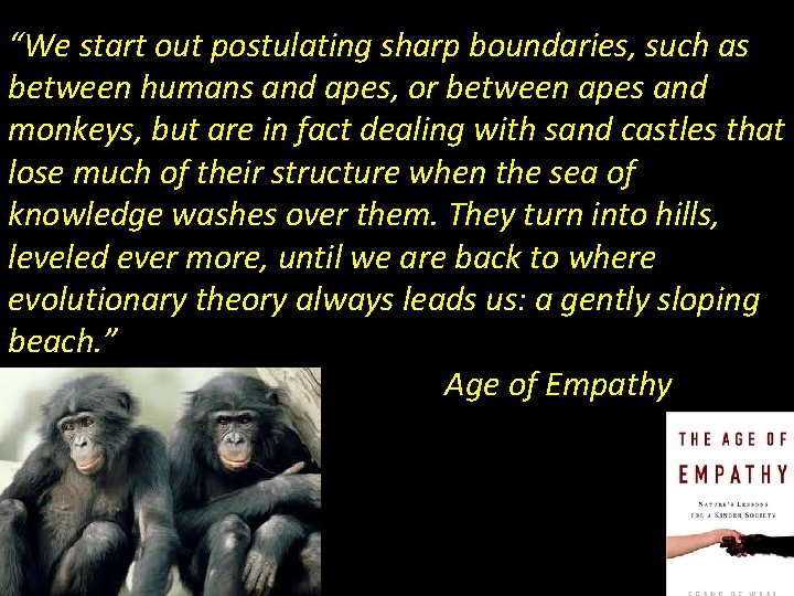 “We start out postulating sharp boundaries, such as between humans and apes, or between