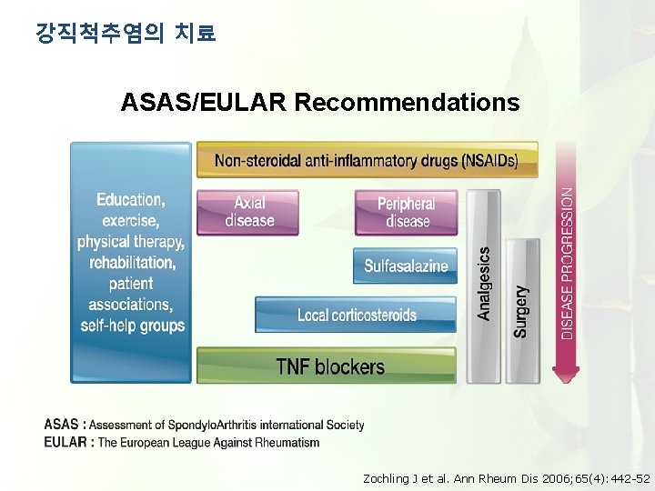 강직척추염의 치료 ASAS/EULAR Recommendations Zochling J et al. Ann Rheum Dis 2006; 65(4): 442