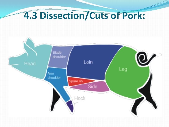 4. 3 Dissection/Cuts of Pork: 