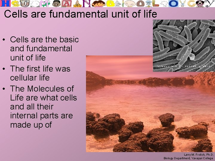 Cells are fundamental unit of life • Cells are the basic and fundamental unit
