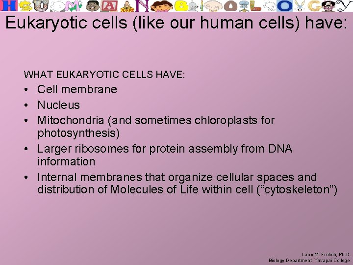 Eukaryotic cells (like our human cells) have: WHAT EUKARYOTIC CELLS HAVE: • Cell membrane