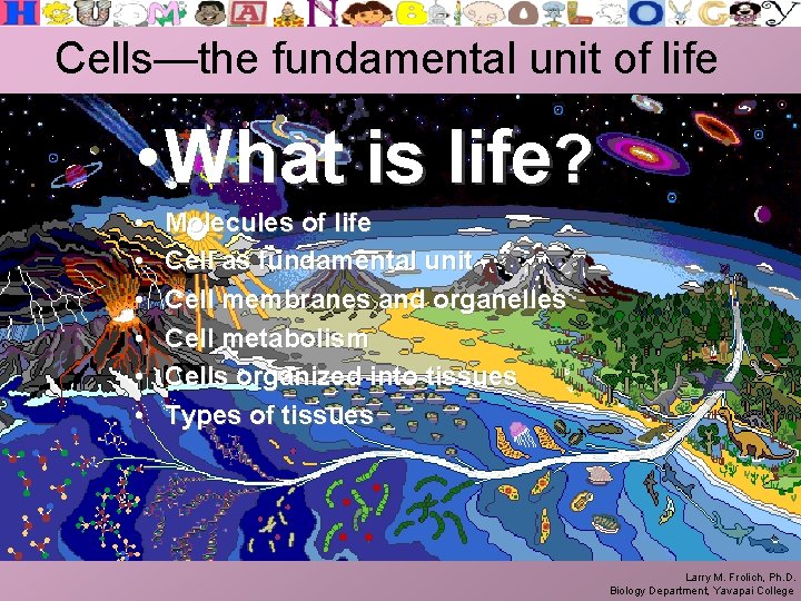 Cells—the fundamental unit of life • What is life? • • • Molecules of