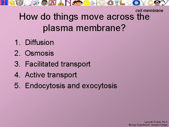 cell membrane How do things move across the plasma membrane? 1. 2. 3. 4.