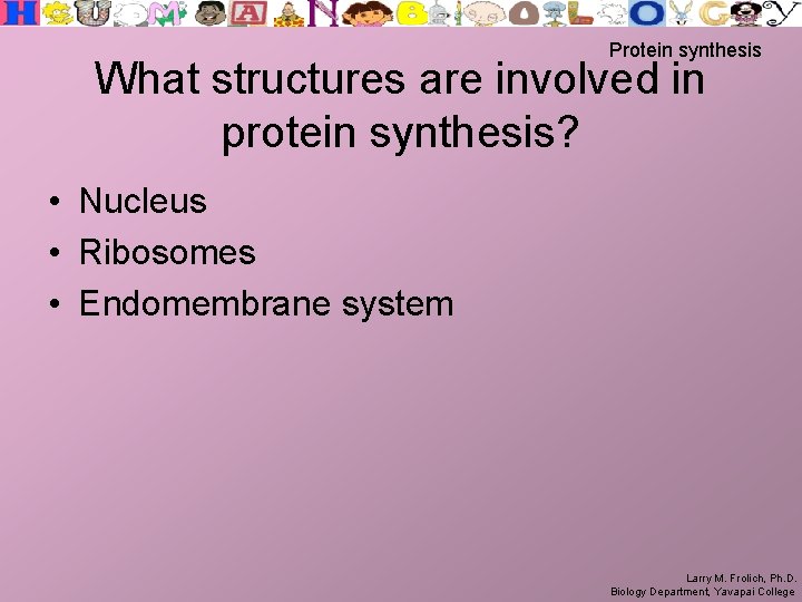 Protein synthesis What structures are involved in protein synthesis? • Nucleus • Ribosomes •