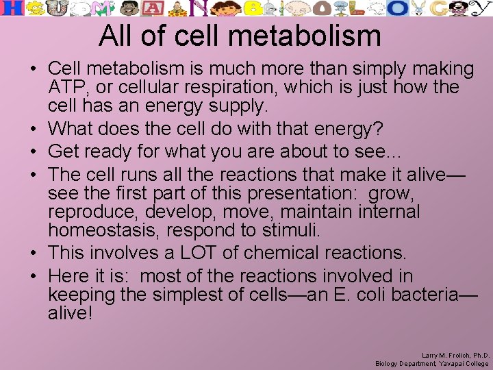 All of cell metabolism • Cell metabolism is much more than simply making ATP,