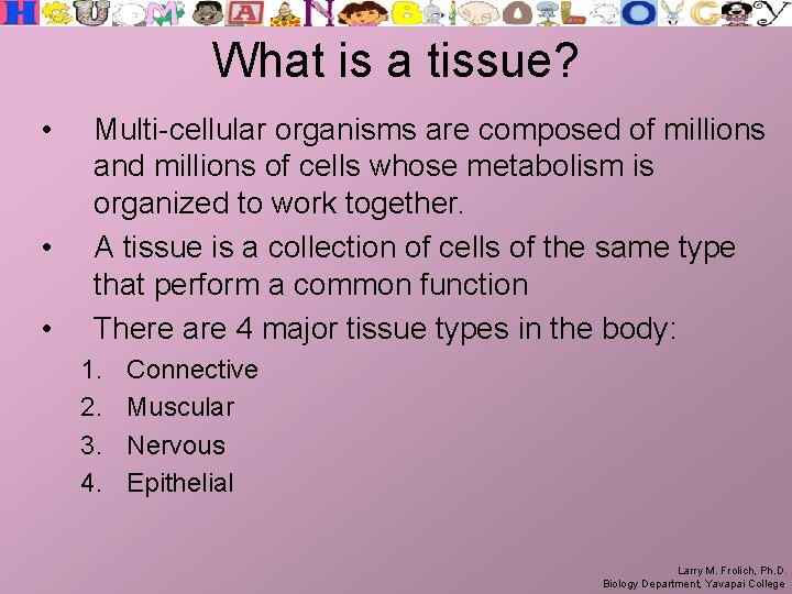 What is a tissue? • • • Multi-cellular organisms are composed of millions and