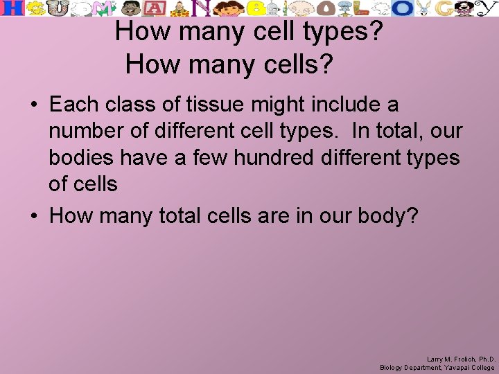 How many cell types? How many cells? • Each class of tissue might include