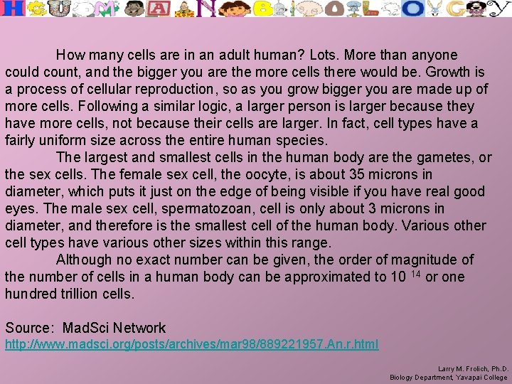 How many cells are in an adult human? Lots. More than anyone could count,