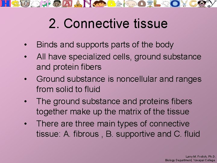 2. Connective tissue • • • Binds and supports parts of the body All